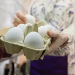 dove-conservare-le-uova-in-frigorifero-o-sul-ripiano.webp.webp